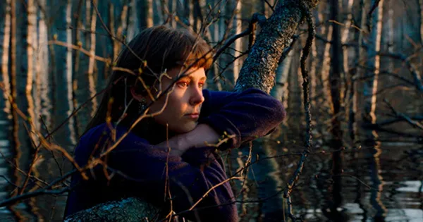 Once Upon A Time In A Forest