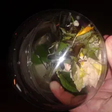 San Sebastian salad orb... to stop those naughty leaves running off