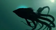Sharktopus