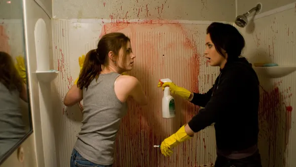 Sunshine Cleaning