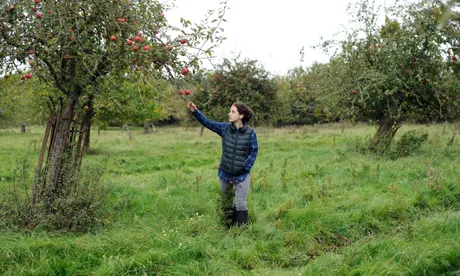 The Levelling