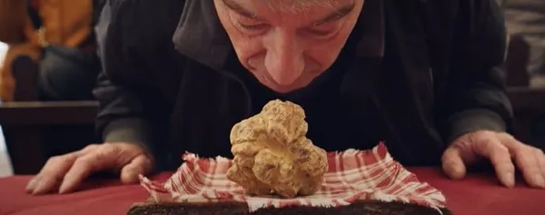 Gregory Kershaw on the Alba white truffle: 'It's really impossible to describe, I guess our film was an attempt to describe what a truffle smells like'