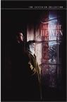 All That Heaven Allows packshot
