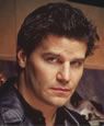 Angel: Vampire Anthology DVD 
Collection