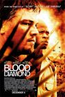 Blood Diamond packshot