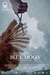 Blue Moon packshot