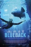 Blueback packshot
