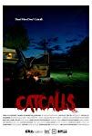 Catcalls packshot