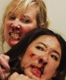 Catfight