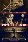 Cellular packshot