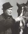 A Coachman
