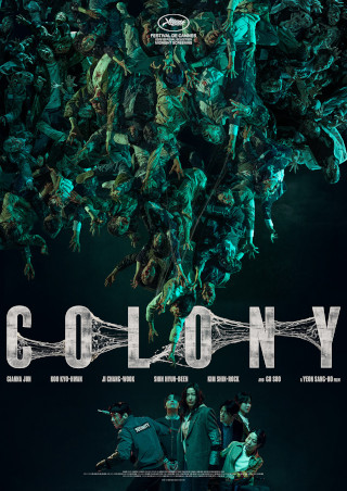 Colony packshot