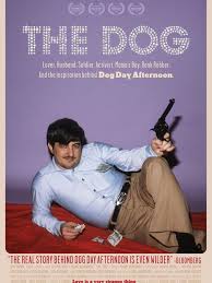 The Dog packshot