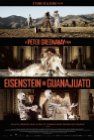Eisenstein In Guanajuato packshot