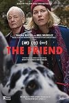 The Friend packshot