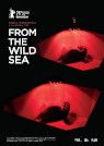 From The Wild Sea packshot