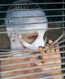 Goodnight Mommy