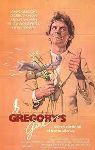 Gregory's Girl packshot