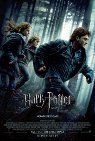 Harry Potter And The Deathly Hallows - Part I packshot