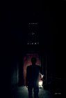 It Comes At Night packshot