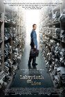 Labyrinth Of Lies packshot