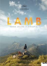 Lamb packshot
