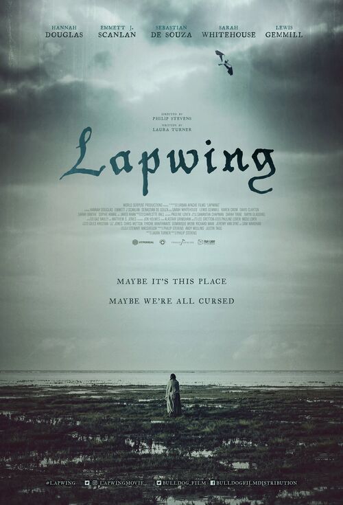Lapwing packshot