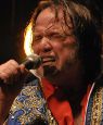 The Last Elvis