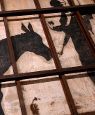 The Man Who Stole Banksy