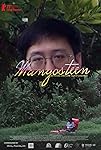 Mangosteen packshot