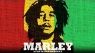 Marley packshot