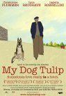 My Dog Tulip packshot