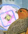 New Educational Series - Canaries In Colour