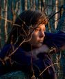Once Upon A Time In A Forest
