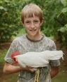 Pecking Order