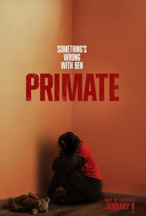 Primate packshot