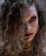 The Harbinger