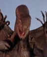 Q: The Winged Serpent
