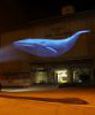 Racing Extinction