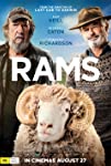 Rams packshot
