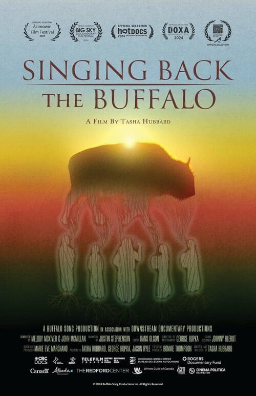 Singing Back The Buffalo packshot
