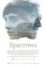 Sparrows packshot