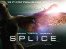 Splice packshot