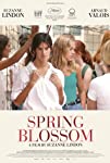 Spring Blossom packshot