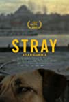 Stray packshot