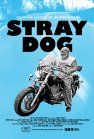 Stray Dog packshot