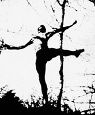 A Study In Choreography For The Camera