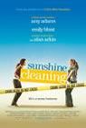 Sunshine Cleaning packshot