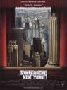 Synecdoche, New York packshot