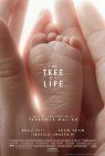 The Tree Of Life packshot